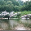 夏の川遊び！鮎の投網漁